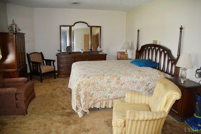 1202 Lee Dr, Farmville, VA 23901 - photo 9