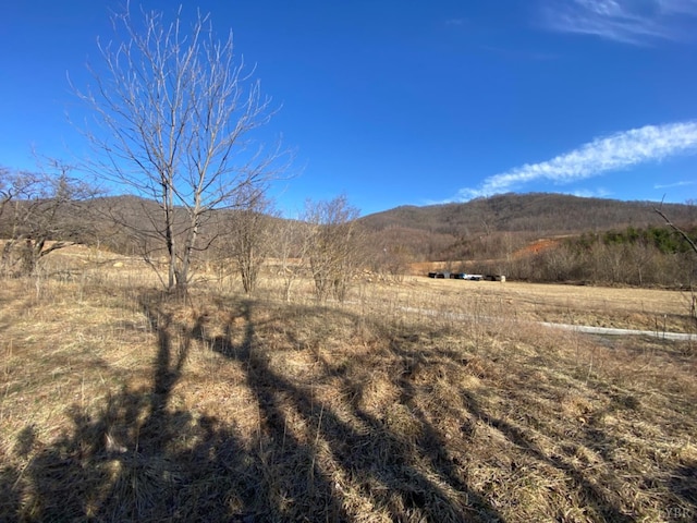 1514 Sweet Hollow Rd, Big Island, VA 24526