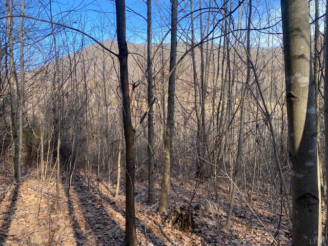 1514 Sweet Hollow Rd, Big Island, VA 24526
