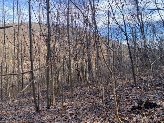 1514 Sweet Hollow Rd, Big Island, VA 24526