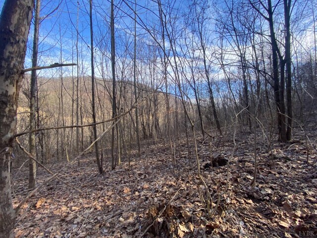 1514 Sweet Hollow Rd, Big Island, VA 24526