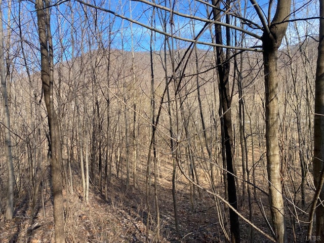 1514 Sweet Hollow Rd, Big Island, VA 24526