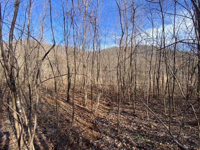 1514 Sweet Hollow Rd, Big Island, VA 24526