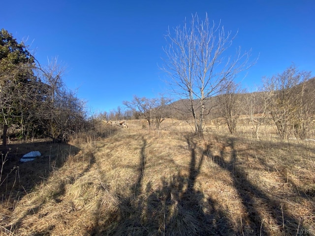 1514 Sweet Hollow Rd, Big Island, VA 24526