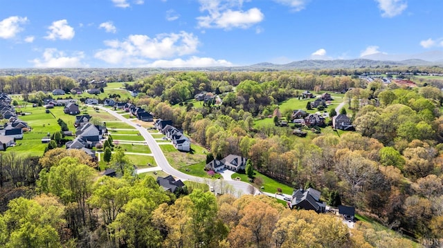 1310 Whispering Springs Ct, Forest, VA 24551 - bird's eye view with a residential view and a forest view