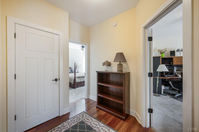 1310 Whispering Springs Ct, Forest, VA 24551 - hall featuring baseboards and wood finished floors
