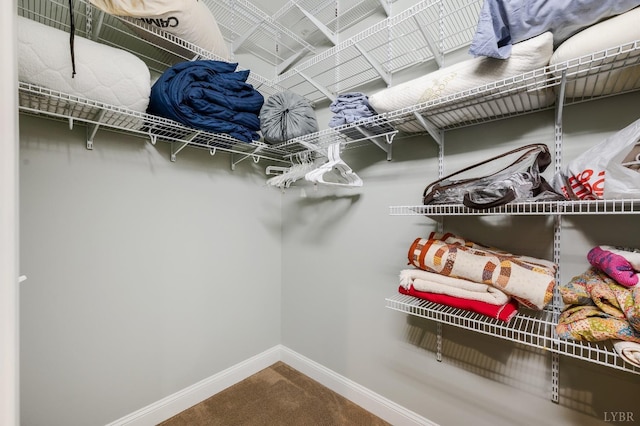 1310 Whispering Springs Ct, Forest, VA 24551 - walk in closet featuring carpet