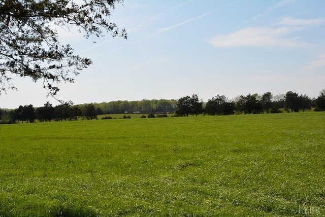 0 Cedar Ln, Farmville, VA 23901 - photo 10