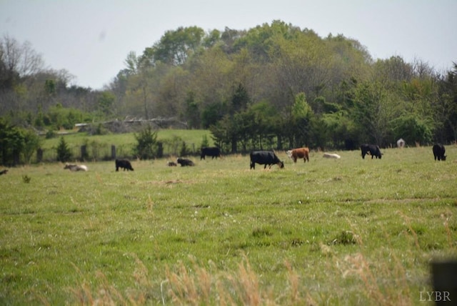 0 Cedar Ln, Farmville, VA 23901 - photo 3
