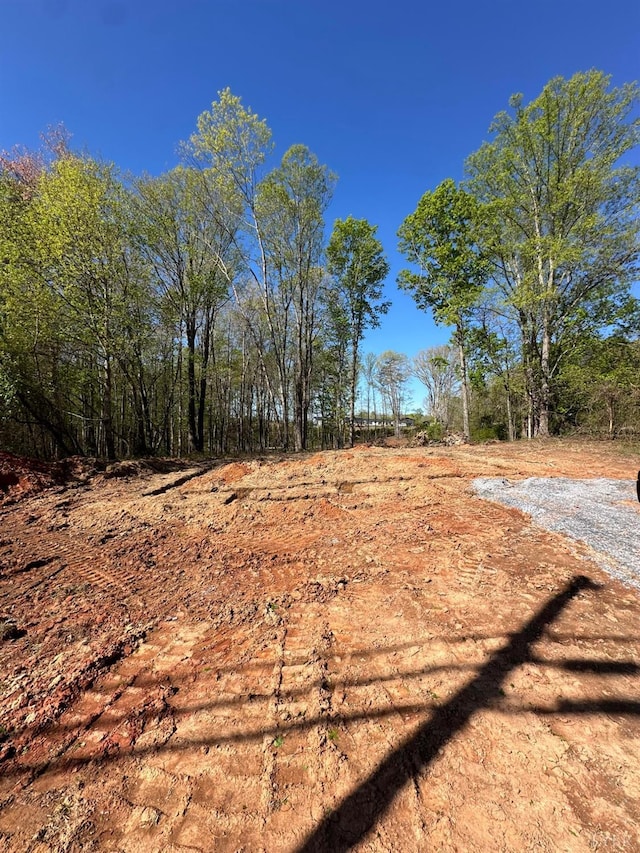 893 Cedar Gate Rd, Monroe, VA 24574 - view of yard