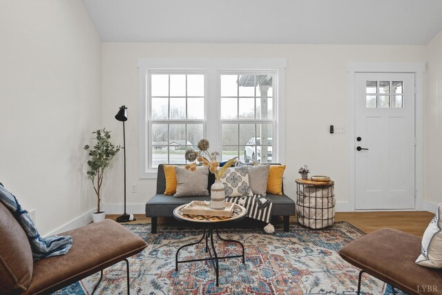 893 Cedar Gate Rd, Monroe, VA 24574 - living room with wood finished floors, baseboards, and vaulted ceiling