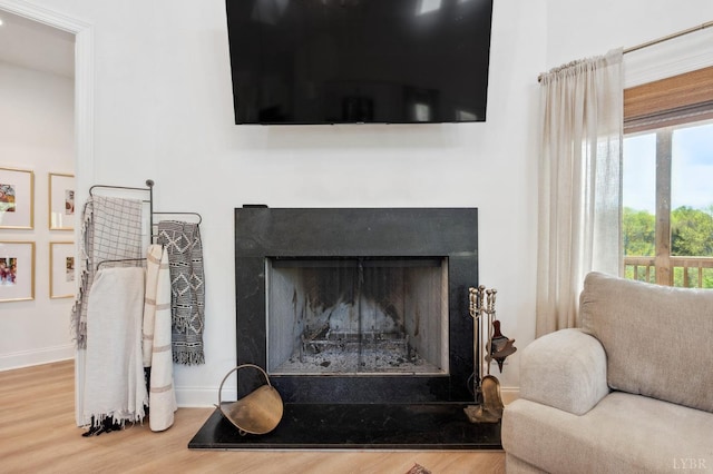 room details featuring baseboards, a fireplace with raised hearth, and wood finished floors