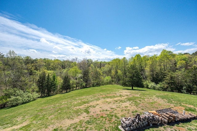 view of yard with a forest view