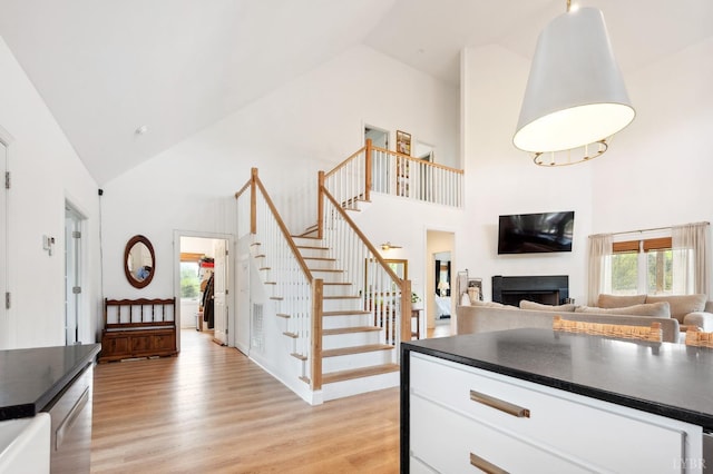 interior space featuring a fireplace, high vaulted ceiling, and wood finished floors