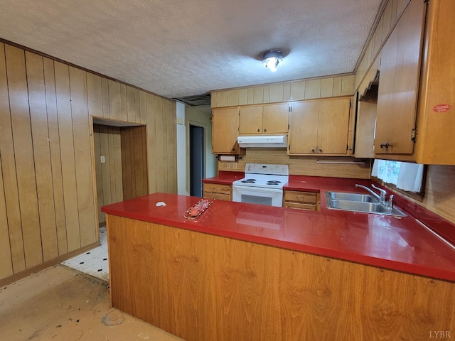 1418 Mitchell Rd, Chatham, VA 24531 - kitchen featuring wood walls, a sink, electric range, a peninsula, and under cabinet range hood