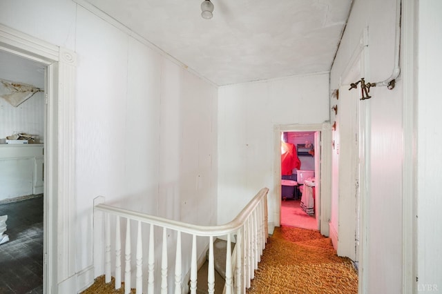 119 Harrison St, Lynchburg, VA 24504 - hallway featuring carpet flooring and an upstairs landing