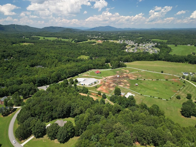 1024 Riley Run, Forest, VA 24551 - photo 25