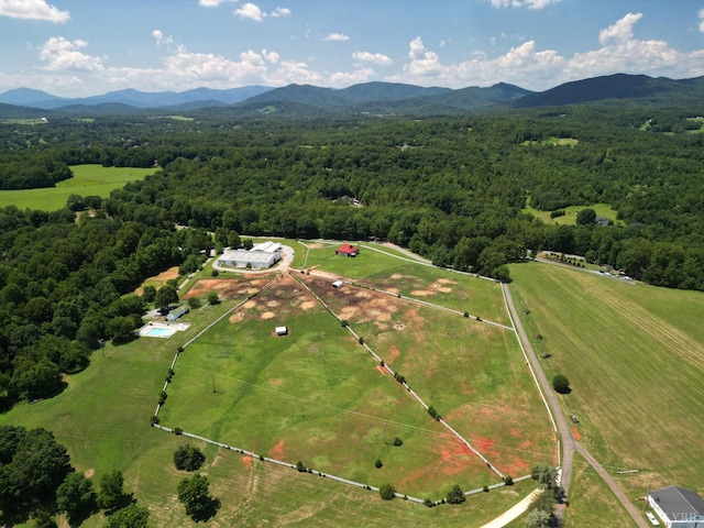 1024 Riley Run, Forest, VA 24551 - photo 1