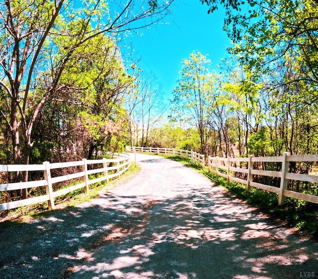 1024 Riley Run, Forest, VA 24551 - photo 5