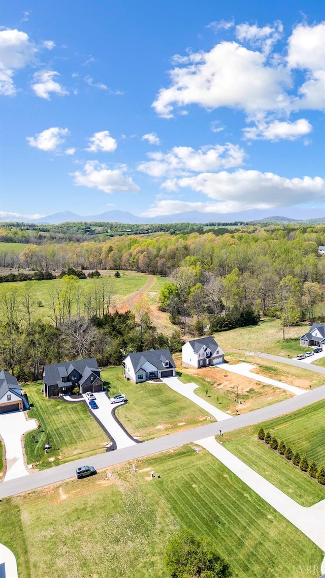 1033 Elk Creek Rd, Forest, VA 24551 - bird's eye view of a forest