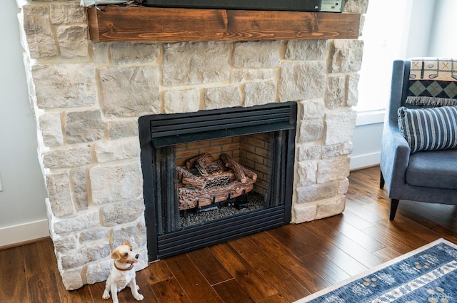 1033 Elk Creek Rd, Forest, VA 24551 - detailed view of baseboards, a stone fireplace, and wood finished floors