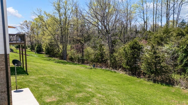 1033 Elk Creek Rd, Forest, VA 24551 - view of green lawn
