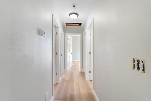 442 W King St, Bedford, VA 24523 - corridor with baseboards, visible vents, and light wood-style flooring