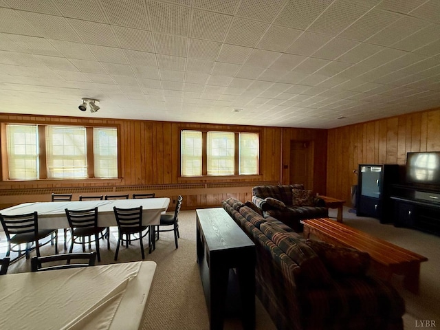 2134 Westerly Dr, Lynchburg, VA 24501 - living area with carpet floors and wood walls