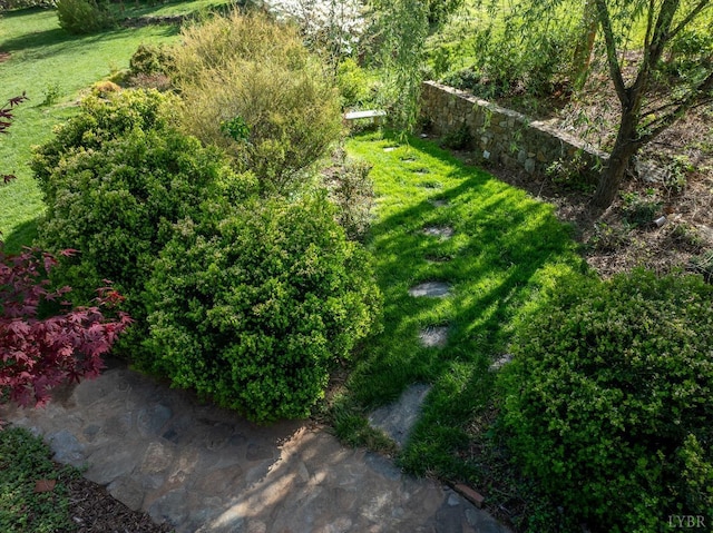 3830 Peakland Pl, Lynchburg, VA 24503 - view of yard