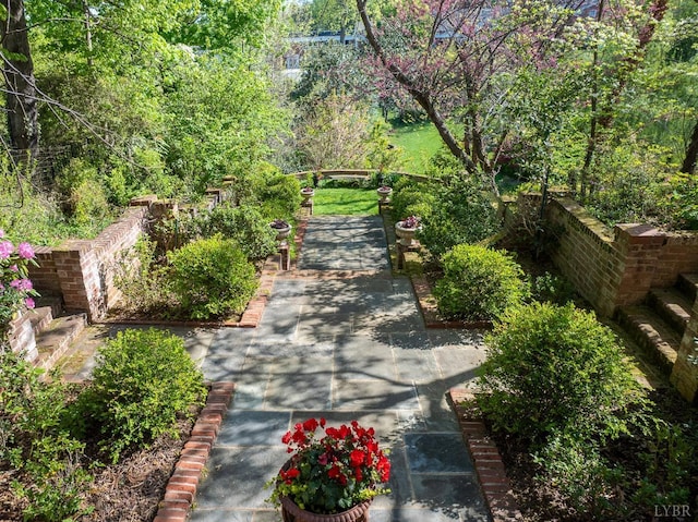 3830 Peakland Pl, Lynchburg, VA 24503 - view of community