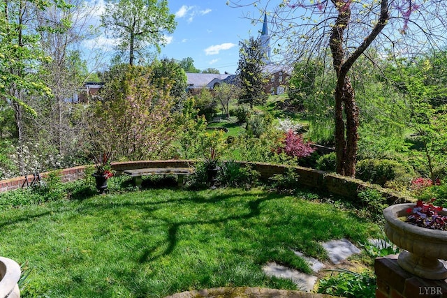 3830 Peakland Pl, Lynchburg, VA 24503 - view of yard