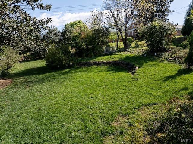 3830 Peakland Pl, Lynchburg, VA 24503 - view of yard