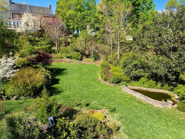 3830 Peakland Pl, Lynchburg, VA 24503 - view of yard