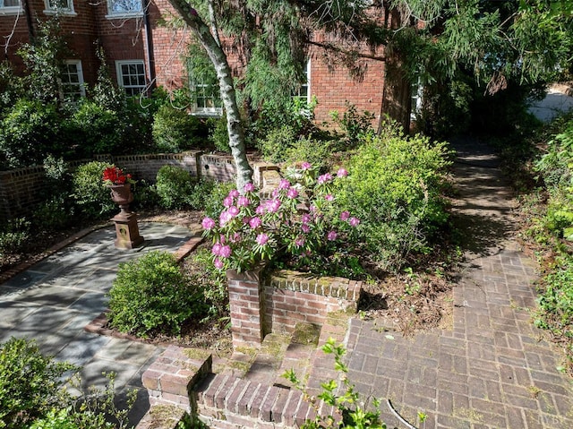 3830 Peakland Pl, Lynchburg, VA 24503 - view of yard
