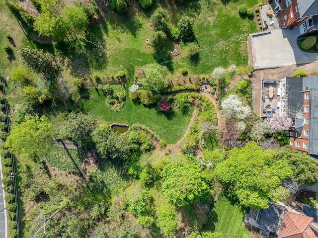 3830 Peakland Pl, Lynchburg, VA 24503 - aerial view