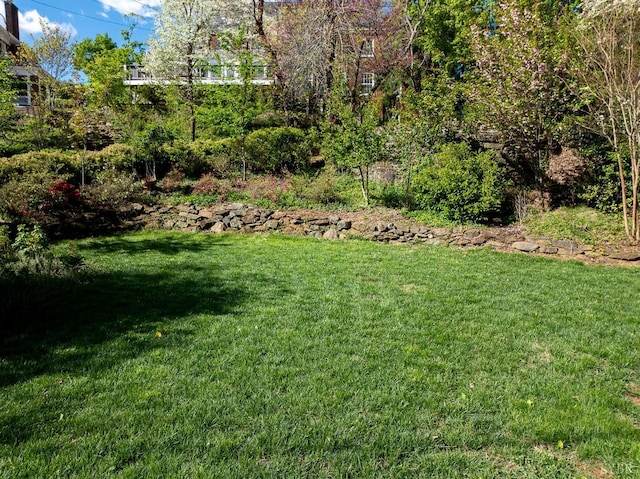3830 Peakland Pl, Lynchburg, VA 24503 - view of yard