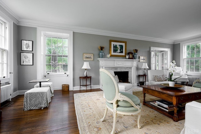 3830 Peakland Pl, Lynchburg, VA 24503 - living area with a premium fireplace, baseboards, radiator, crown molding, and wood finished floors