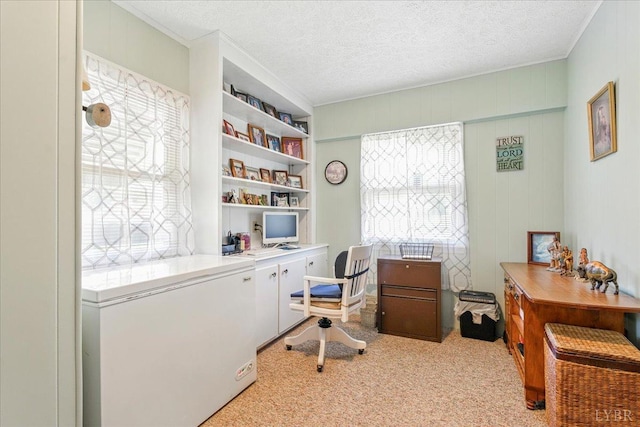 1321 Norfolk Ave, Bedford, VA 24523 - carpeted home office with crown molding and a textured ceiling