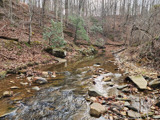 0 Pinecrest Dr, Madison Heights, VA 24572 - photo 8