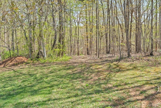 391 Cardinal Ridge Dr, Rocky Mount, VA 24151 - photo 29