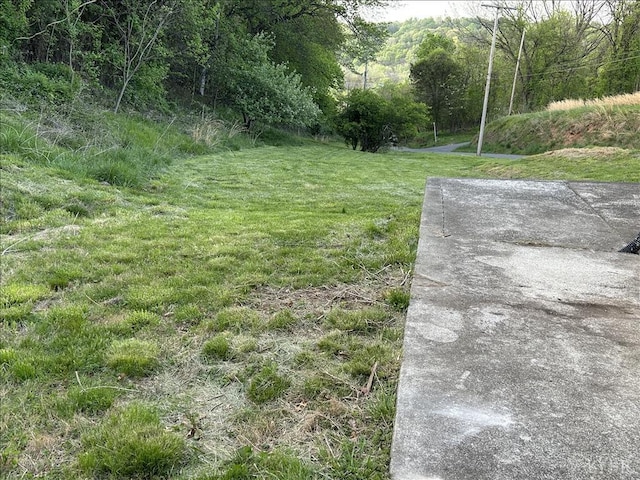 207 Winston Ridge Rd, Lynchburg, VA 24501 - view of yard