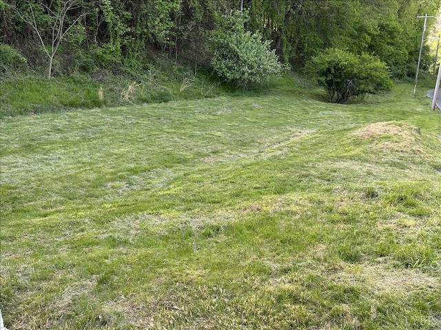 207 Winston Ridge Rd, Lynchburg, VA 24501 - view of yard