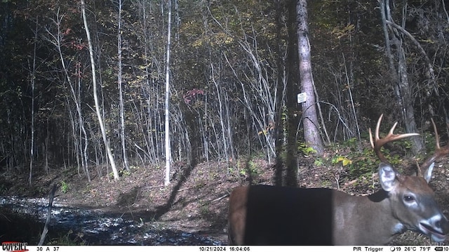 2 Watt Abbitt Rd, Appomattox, VA 24522
