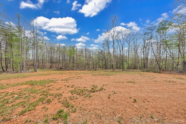 9900 Stonewall Rd, Appomattox, VA 24522 - view of nature with a wooded view