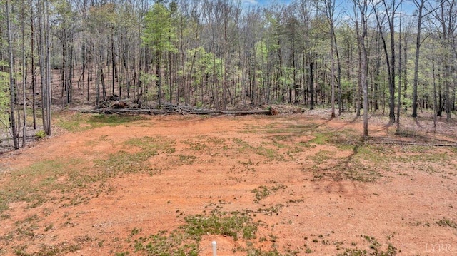 9900 Stonewall Rd, Appomattox, VA 24522 - view of yard featuring a view of trees