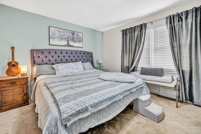 3783 Praline Pl, Roanoke, VA 24012 - view of carpeted bedroom