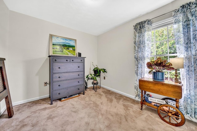 3783 Praline Pl, Roanoke, VA 24012 - living area with baseboards and light carpet