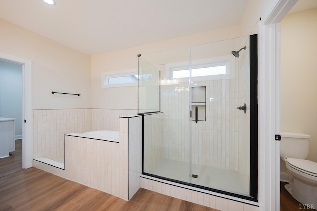 1750 Willow Oak Dr, Forest, VA 24551 - bathroom featuring a healthy amount of sunlight, a shower stall, toilet, and a garden tub