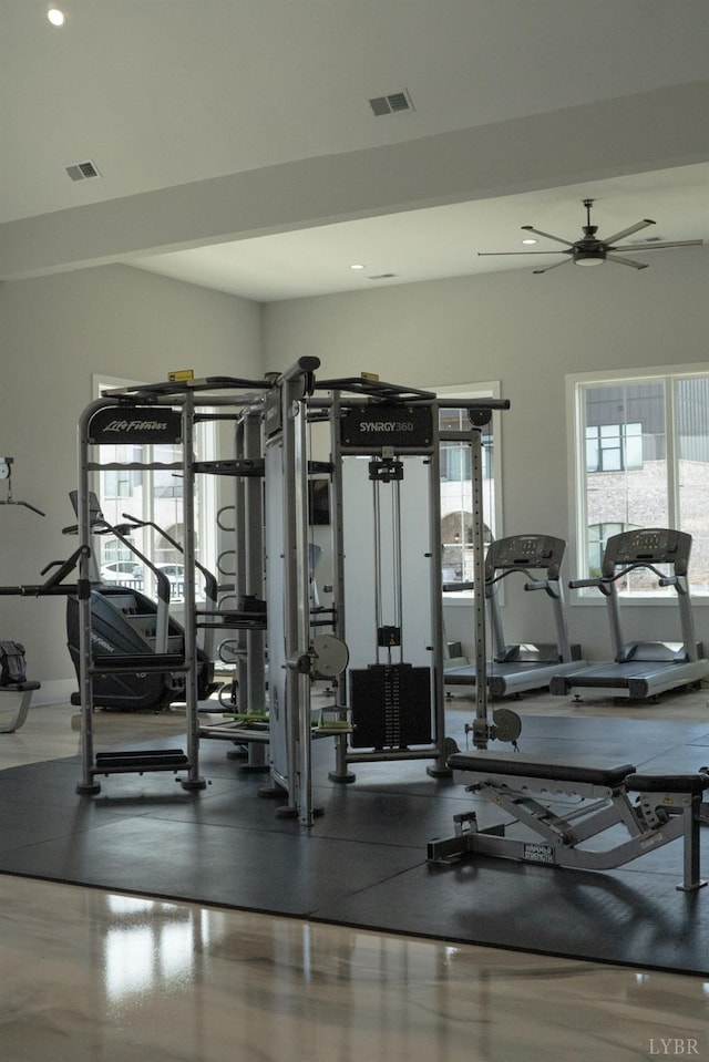 1022 N Westyn Loop, Forest, VA 24551 - gym with plenty of natural light and a ceiling fan