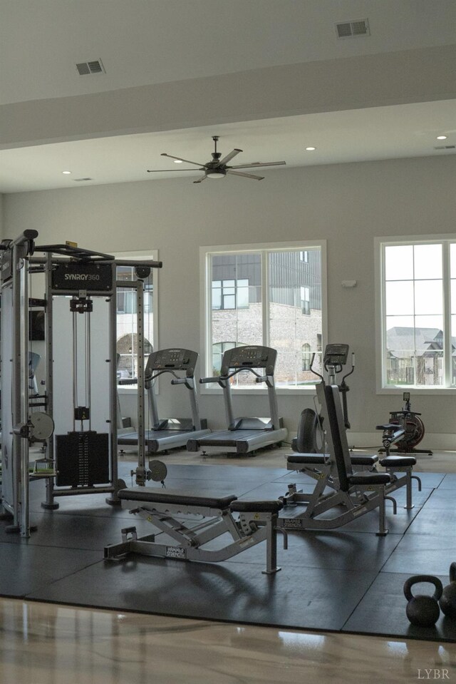 1022 N Westyn Loop, Forest, VA 24551 - gym featuring plenty of natural light, visible vents, and a ceiling fan